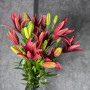 5 красных лилий фото 2